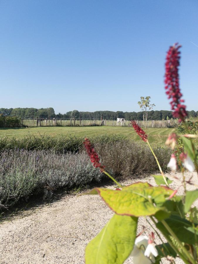 Het Veldhuis Beuningen  المظهر الخارجي الصورة